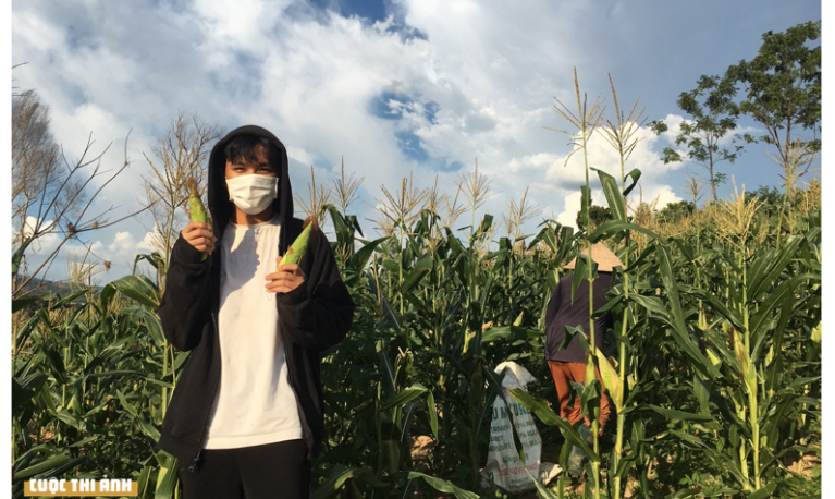 A woman wearing a mask holding up corn in a field. © Vo Von Tan for He Can/WISE Vietnam