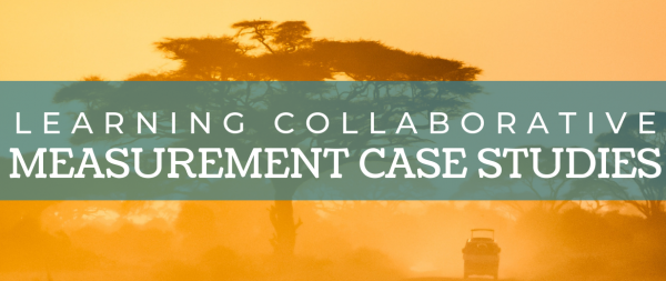 Learning Collaborative Measurement Project Summaries