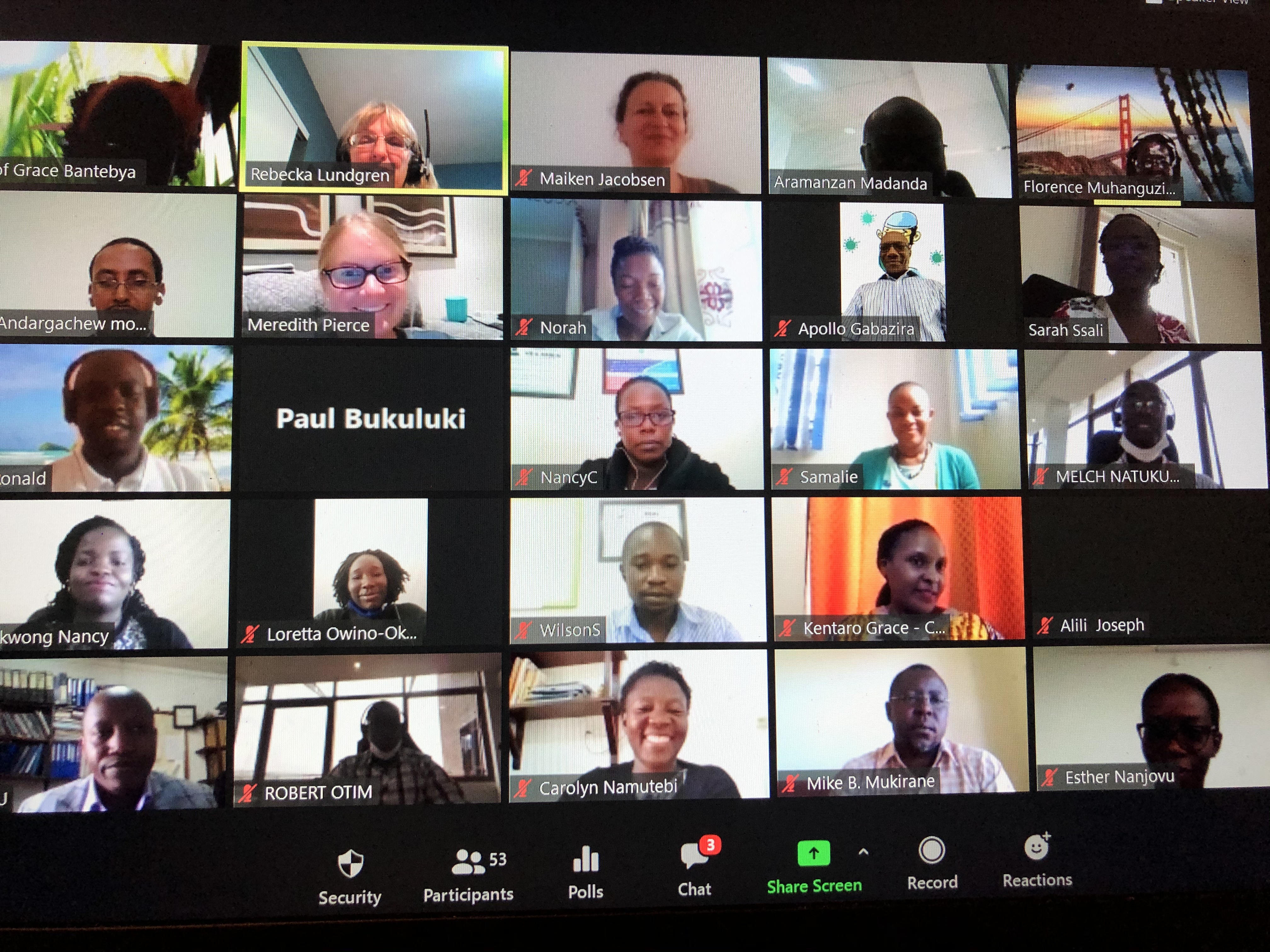 Screenshot of the Zoom webinar participants.