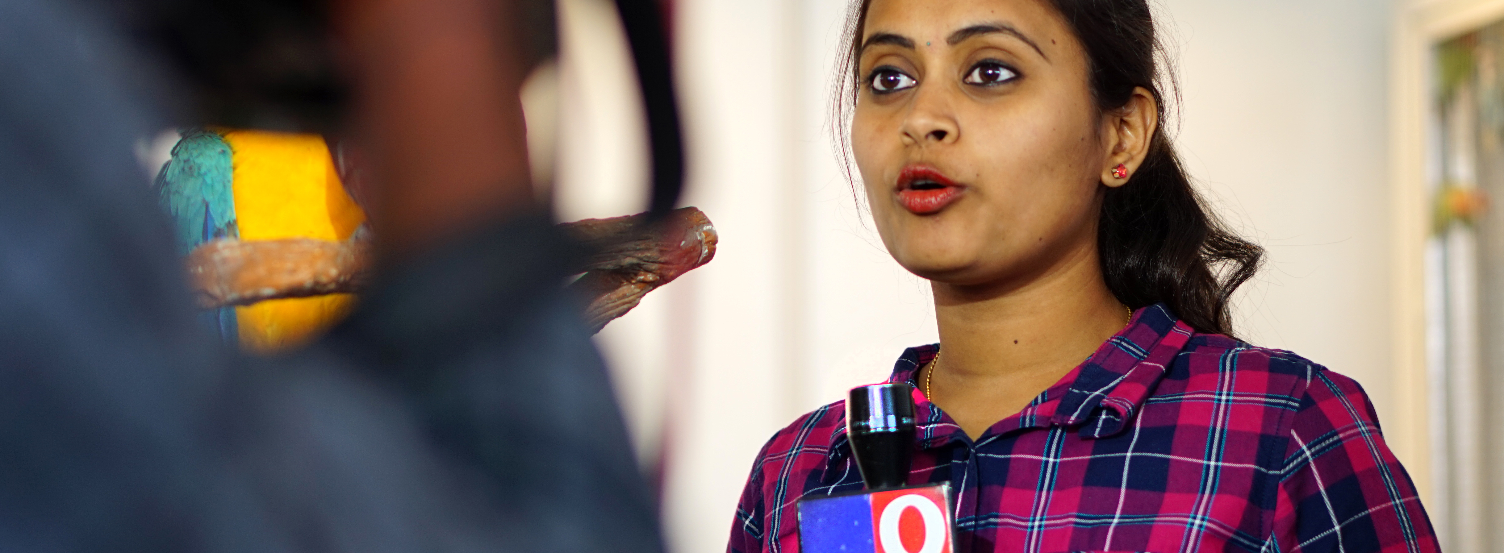Female TV reporter covering live news in Hyderabad, India. Credit: Reddees / Shutterstock.com