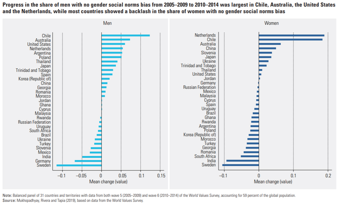 Figure taken from UDNP’s 2020 Human Development Perspectives Tackling Social Norms: A game changer for gender inequalities report.