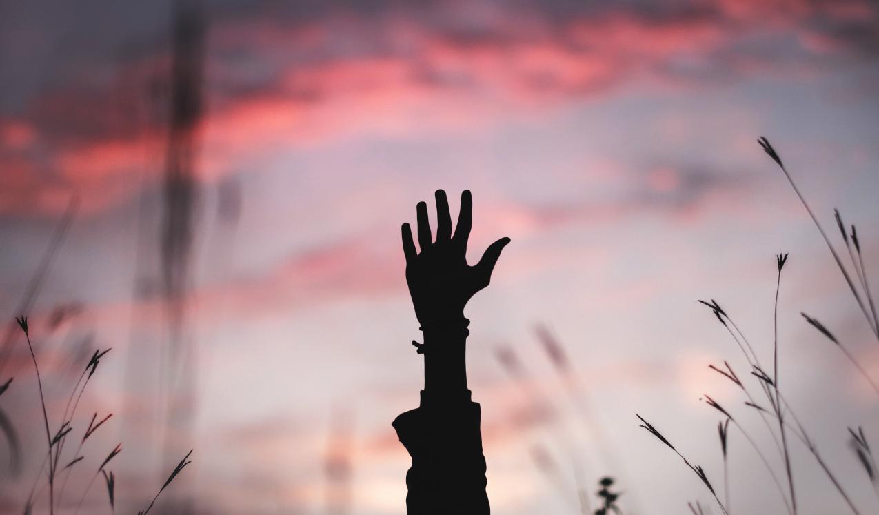 Copyright: Bryan Minear
