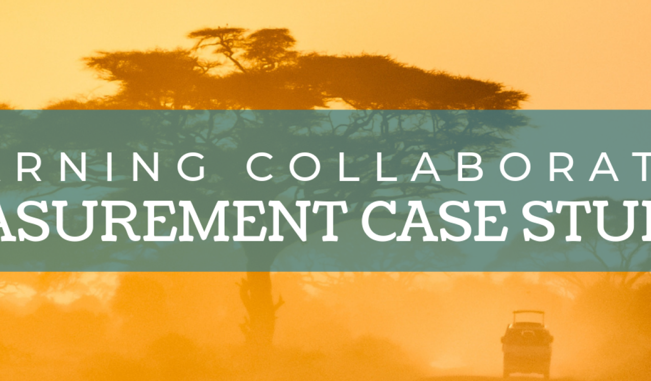 Learning Collaborative Measurement Project Summaries