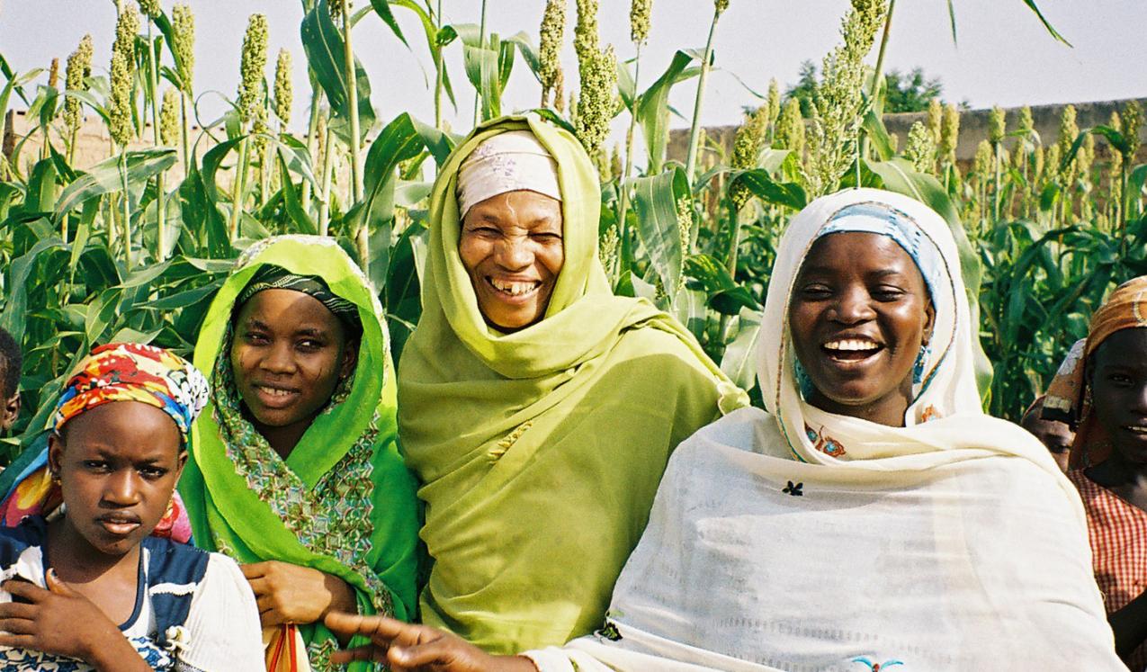 A group of smiling Nigerians ©  A. Fleuret/USAID