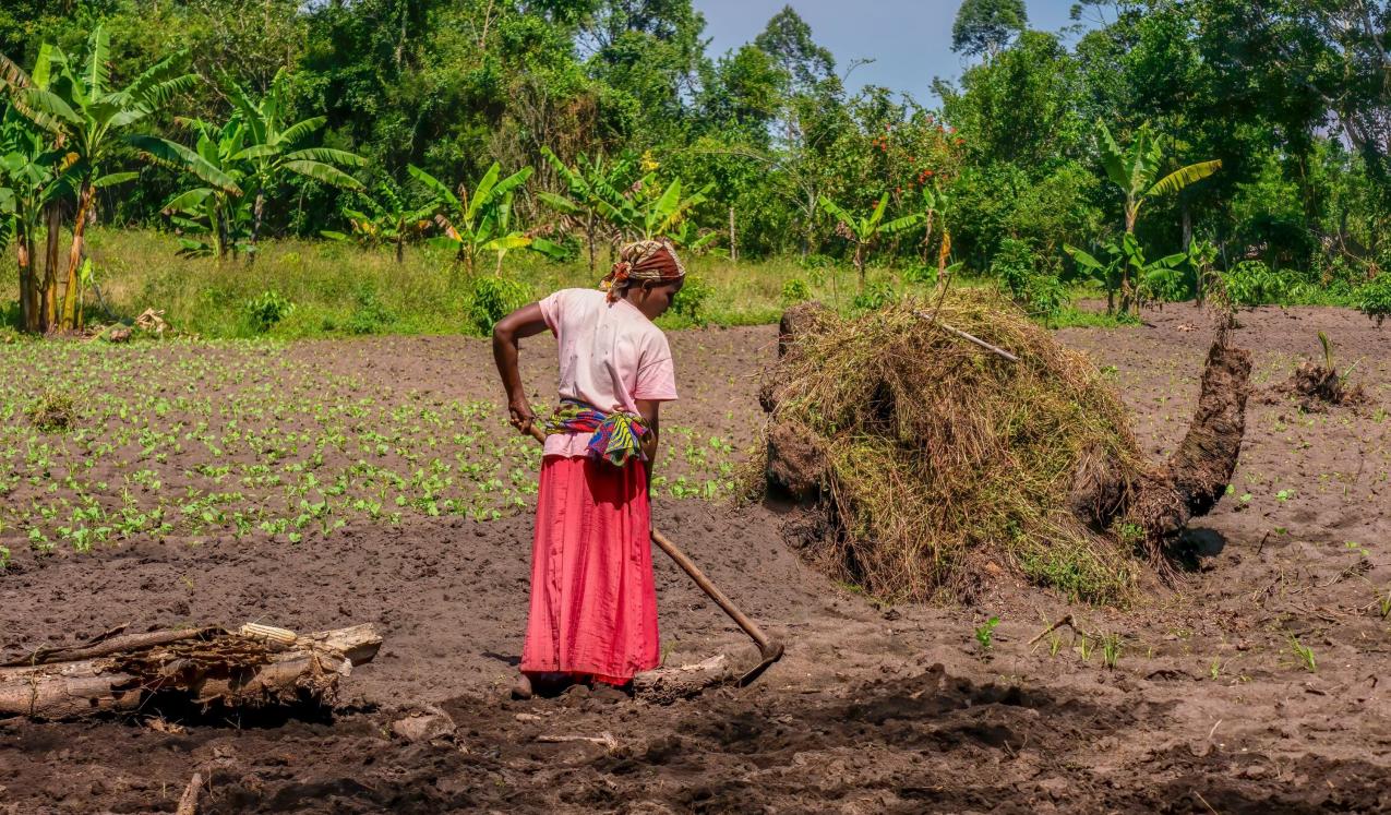 A young rural Ugandan woman prepares garden soil for planting vegetables. © Cheryl Ramalho / Shutterstock