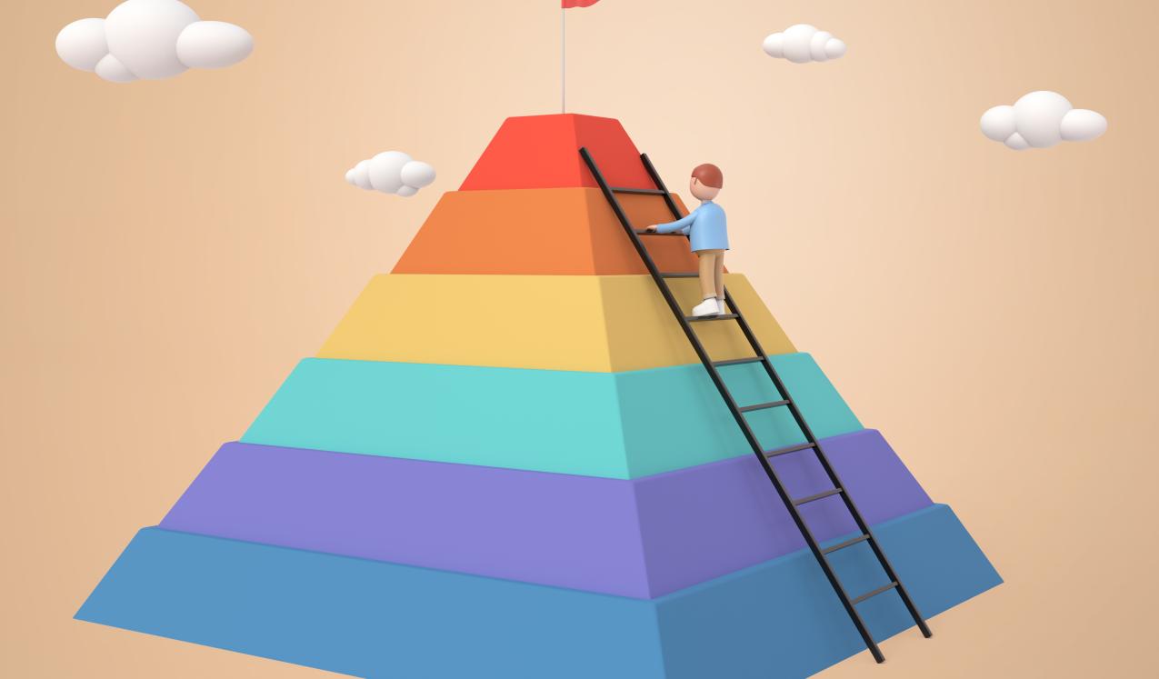 Success in on-ground practices of interventions