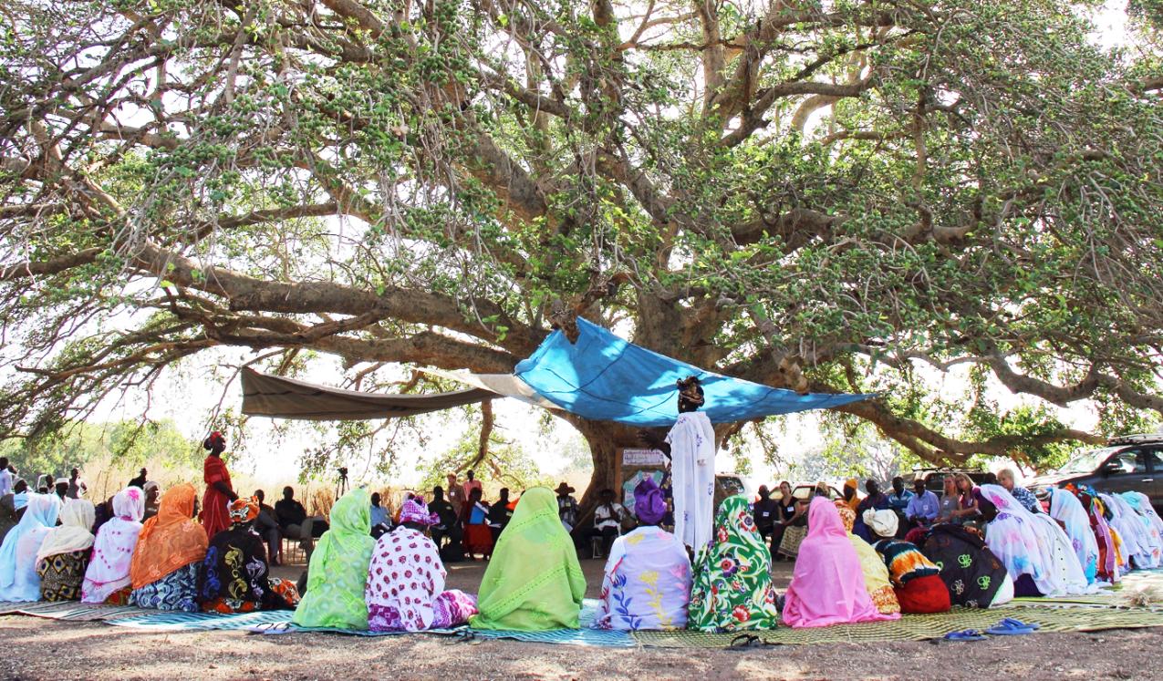 A meeting in the shade of a tree. © Grandmother Project