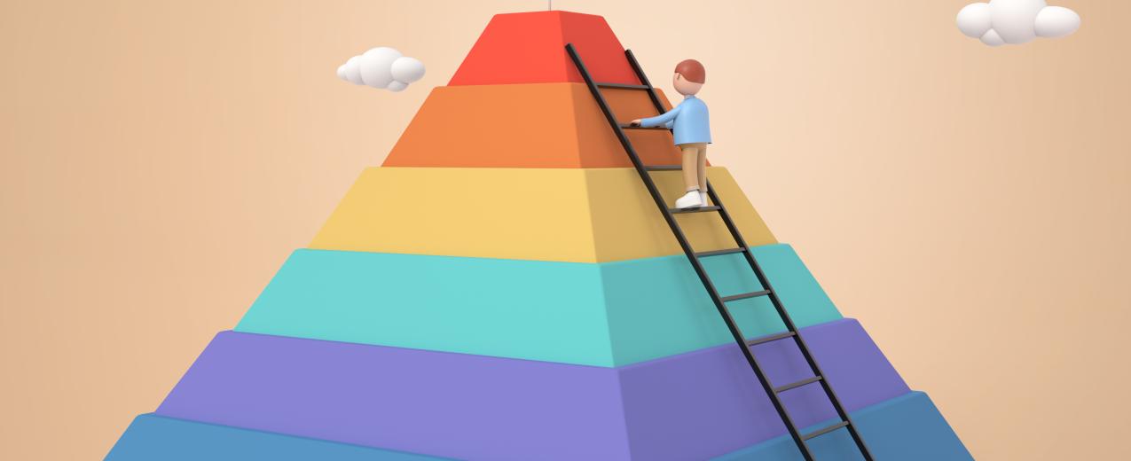 Success in on-ground practices of interventions