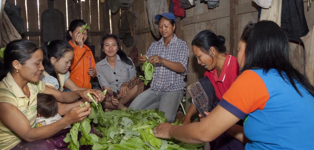 Women cleaning fresh greens in Oudomxay province, Lao PDR. © Bart Verweij / World Bank