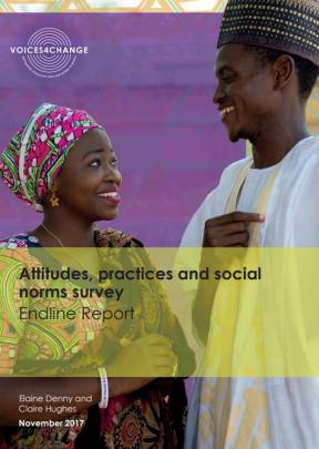 Cover of the Itad report on social norms