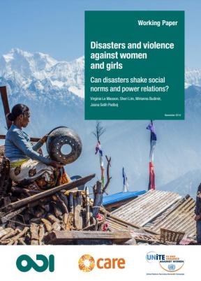 Cover of disasters and violence against women and girls paper