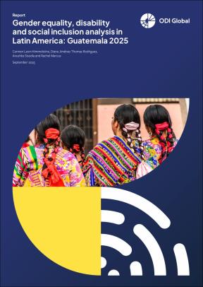 cover of report