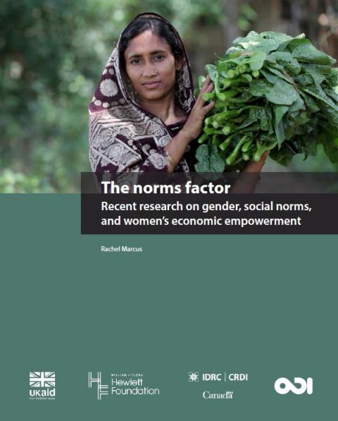 The norms factor cover