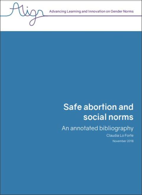 Cover of the report on safe abortion