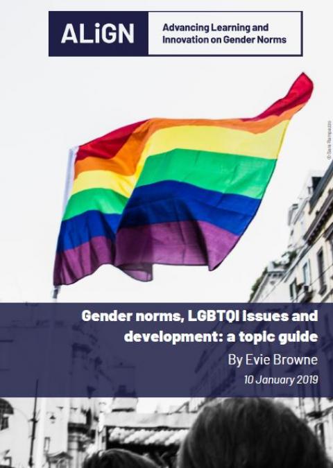 LGBTQI+ and norms guide cover featuring a rainbow flag.