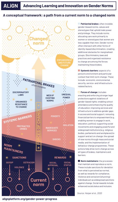 Conceptual framework