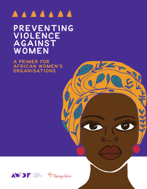 Preventing violence against women: A primer for African women’s ...