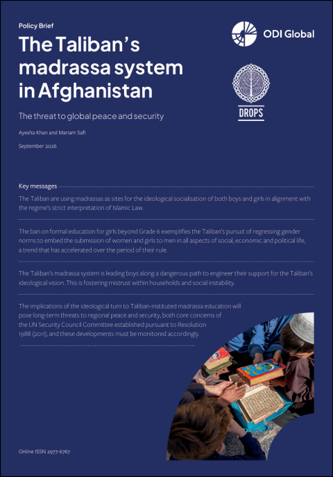 Cover of brief