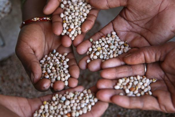 Women showing their agricultural produce, India. © Simone D. McCourtie / World Bank