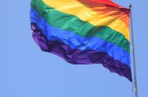 Rainbow flag by Leighton Ellis