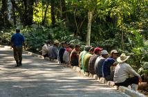 Workers working on a grubbing jungle. © photoshooter2015/Shutterstock ID: 1284631309