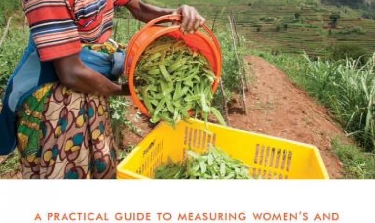 Cover of A Practical Guide to Measuring Women’s and Girls’ Empowerment in Impact Evaluations