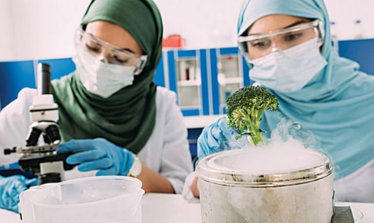 Two Arab women working in a laboratory. Credit: Shutterstock