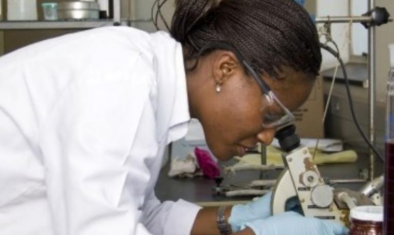 A female scientist analyses samples in a lab in Johannesburg, South Africa. Credit: United Nations