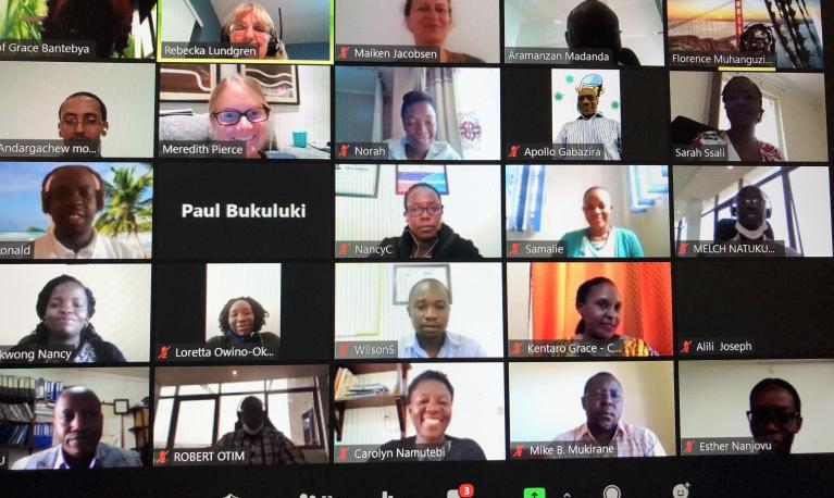 Screenshot of the Zoom webinar participants.