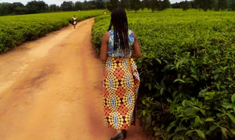 A woman strolling in a tea estate © Mercy Mayuni.