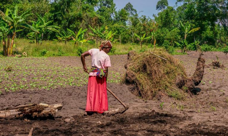 A young rural Ugandan woman prepares garden soil for planting vegetables. © Cheryl Ramalho / Shutterstock