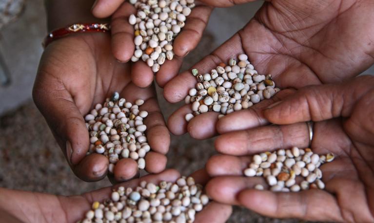 A close up of women's hands showing their agricultural products in India. © Simone D. McCourtie / World Bank