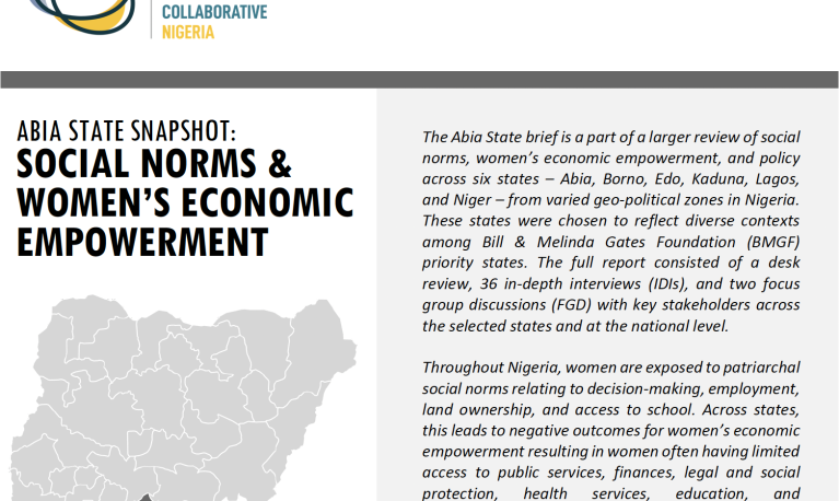 Abia State policy review brief cover 