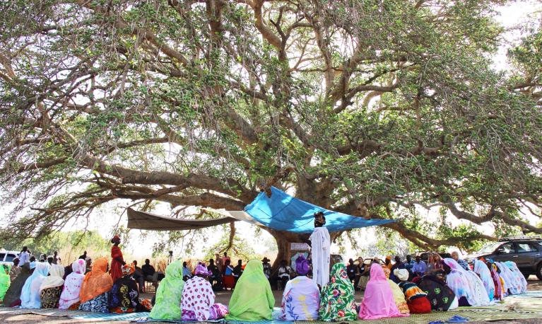 A meeting in the shade of a tree. © Grandmother Project