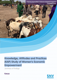 Knowledge, Attitudes and Practices (KAP) Study of Women’s Economic Empowerment