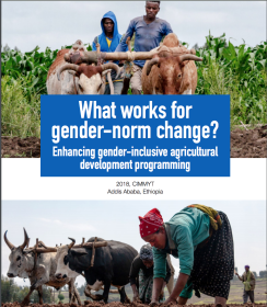 What works for gender norm change cover