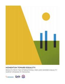 Momentum report cover