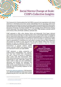 First page of the case studies