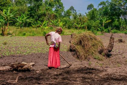 A young rural Ugandan woman prepares garden soil for planting vegetables. © Cheryl Ramalho / Shutterstock