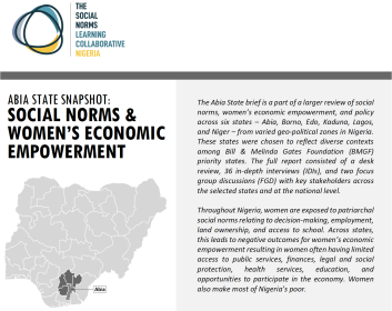 Abia State policy review brief cover 