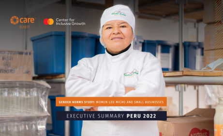 Cover of Peru report case study