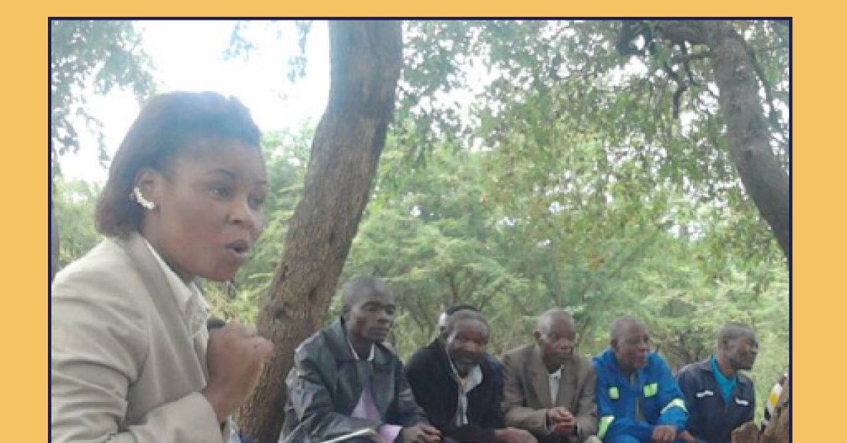 Experiences of female traditional leaders in Zimbabwe: an