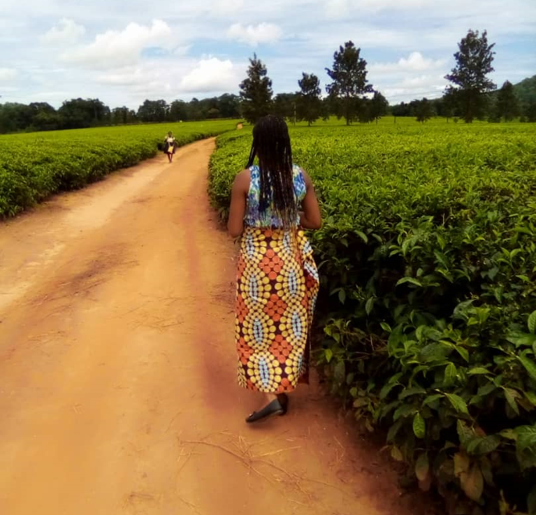 A woman strolling in a tea estate © Mercy Mayuni.