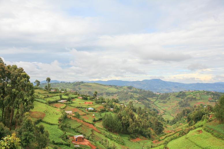 Farming fields in the Ruwenzori Mountains in western Uganda. © JordiStock/Shutterstock