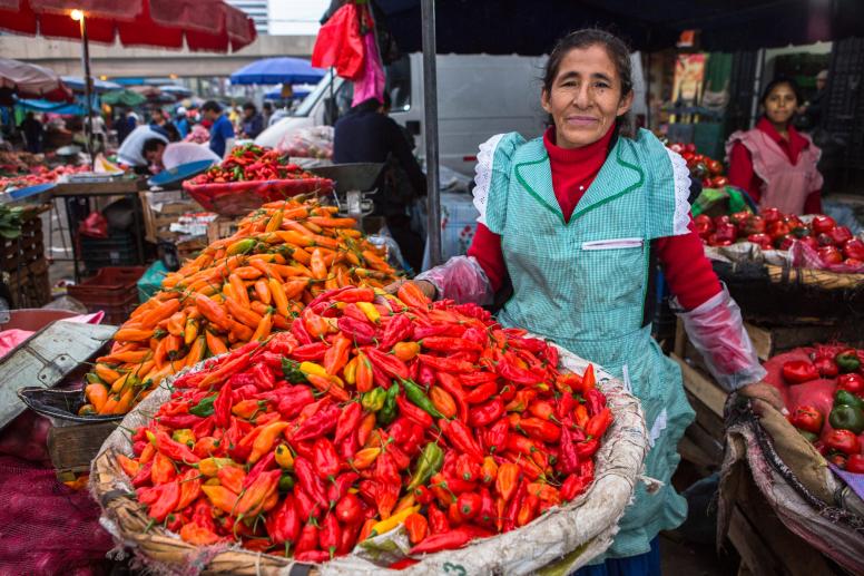 Luzmila is president of the Asociación 20 de junio, which has 150 members and is part of the National Network of Women and Men Self-employed Workers. Credit: Juan Arredondo/Getty Images/Images of Empowerment