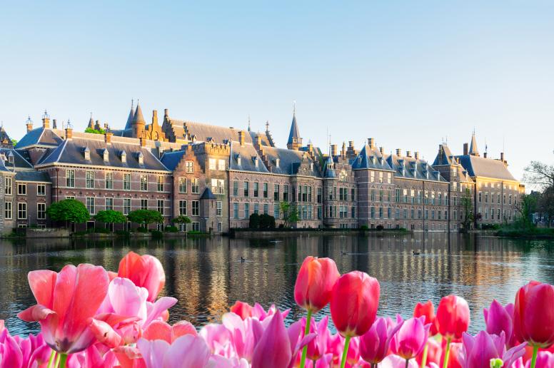 Binnenhof - Dutch Parliament, the Netherlands ©Neirfy / Shutterstock 1357522859